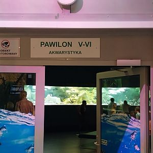 Palmiaria Miejska Gliwice - Aquarium