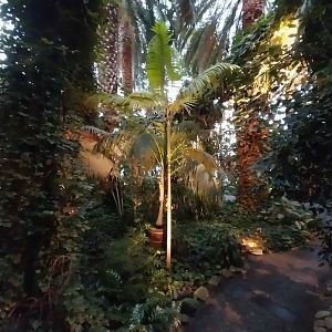 Palmiarinia Miejska Gliwice - Historical pavilion