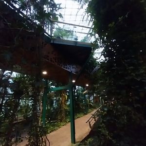 Palmiarinia Miejska Gliwice - Cast-iron visitor walkway