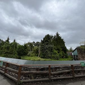 Chimpanzee enclosure 29.6.24