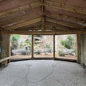 Blue-throated macaw and Elegant crested tinamou aviary 29.6.24