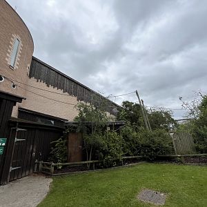 Linne’s two-toed sloth enclosure 29.6.24