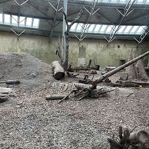 Second Andean bear enclosure indoors 29.6.24