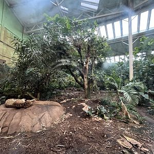 Jaguar indoors 29.6.24