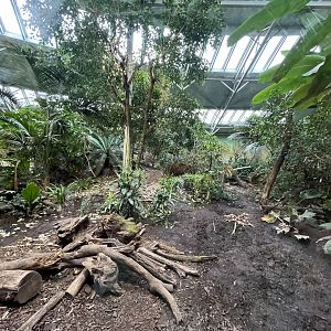 Jaguar indoors 29.6.24