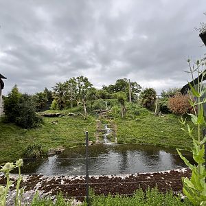 Jaguar enclosure 29.6.24