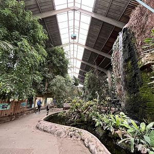 Tropical realm 29.6.24