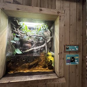 Mixed terrarium (can’t read what’s on the sign- what’s in this enclosure?) 29.6.24