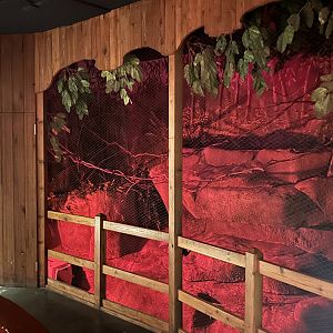 Australia House-brush-tailed bettong exhibit