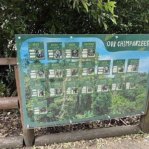 Chimpanzee ID sign 29.6.24