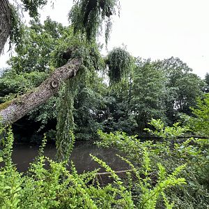 Lemur island 29.6.24