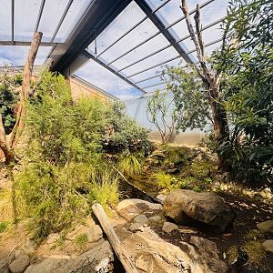 Lace Monitor enclosure