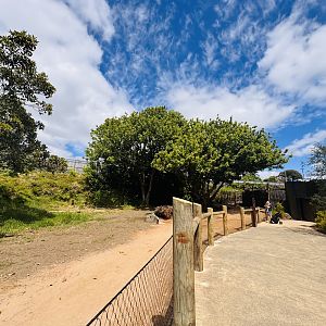 Future kangaroo enclosure