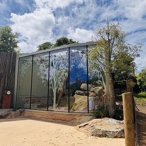 New Australian lizard enclosure