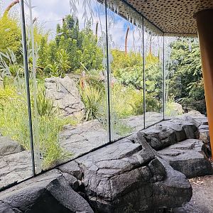 Sumatran tiger enclosure