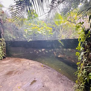 Sunda gharial enclosure
