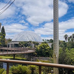 Pathway along South East Asian Track