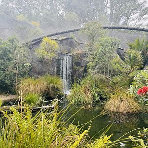 Te Wao Nui - Wetlands Aviary