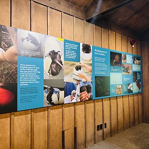 Te Wao Nui - Kiwi signage