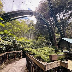 Te Wao Nui - Forest aviary