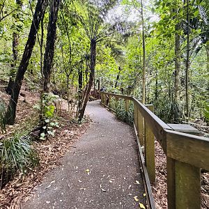 Te Wao Nui - Forest aviary