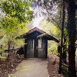 Te Wao Nui - Forest aviary