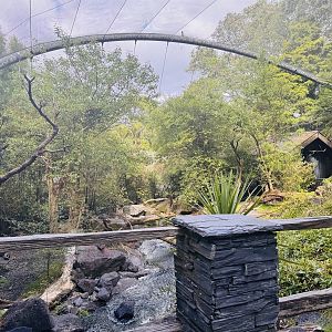 Te Wao Nui - High country aviary
