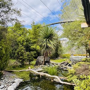 Te Wao Nui - High country aviary