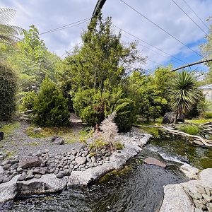 Te Wao Nui - High country aviary