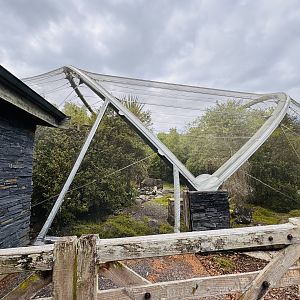 Te Wao Nui - High country aviary