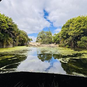 Rhino/nyala/waterbuck enclosure