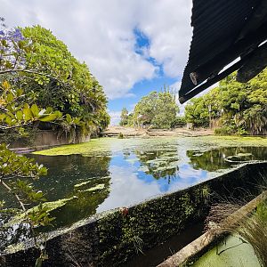 White rhino/nyala/waterbuck enclosure