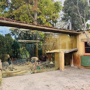 Leopard tortoise enclosure