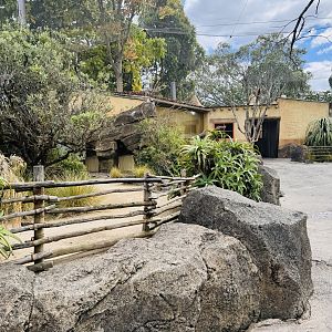 Leopard tortoise enclosure