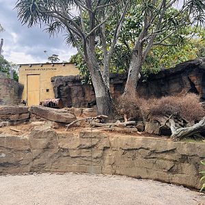 Cape porcupine enclosure