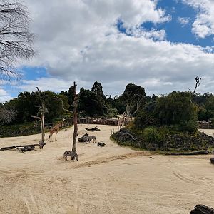 Giraffe/zebra/ostrich enclosure