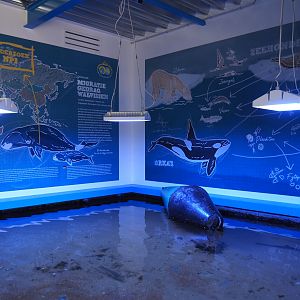 Nortica Aquarium - A3 tank and educational murals, 2024-06-23