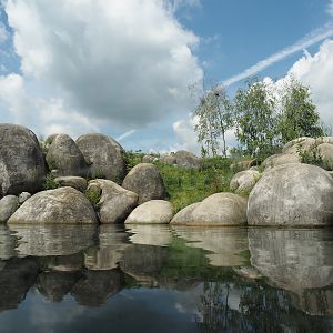 Nortica - Polar bear exhibit seen from underwater viewing area, 2024-06-23