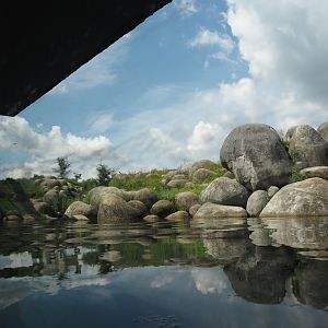 Nortica - Polar bear exhibit seen from underwater viewing area, 2024-06-23