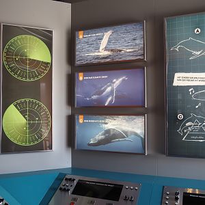 Nortica - Sea and whale education building with sonar station theming, 2024-06-23