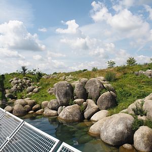 Nortica - First polar bear exhibit, 2024-06-23