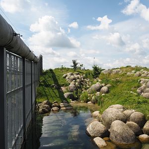 Nortica - First polar bear exhibit, 2024-06-23