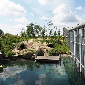 Nortica - Second polar bear exhibit, 2024-06-23