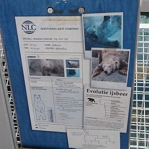 Nortica - Polar bear information sign, 2024-06-23