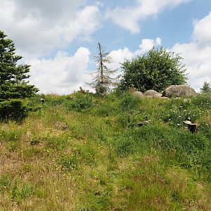 Nortica - Humboldt penguin and Magellanic flightless steamer duck exhibit land area, 2024-06-23