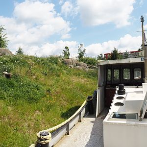 Nortica - Humboldt penguin and Magellanic flightless steamer duck exhibit and stranded boat viewing area, 2024-06-23