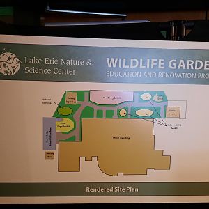 Outdoor Exhibit Renovations Plan 2