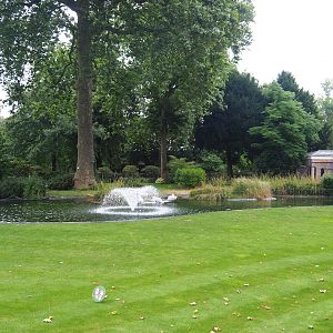 Chilean flamingo exhibit, Temporarily home to Dalmatian pelicans at the time, 2023-07-02