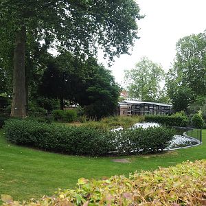 Chilean flamingo exhibit, Temporarily home to Dalmatian pelicans at the time, 2023-07-02