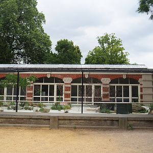 African penguin beach area next to historical Rotunda bird building, 2023-07-02